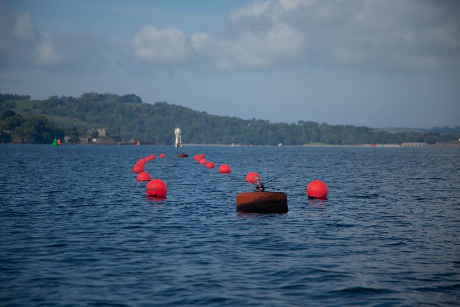 Red kelp-line buoys floating in a Plymouth harbour